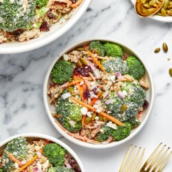 Broccoli Salad {High Protein + Meal Prep}