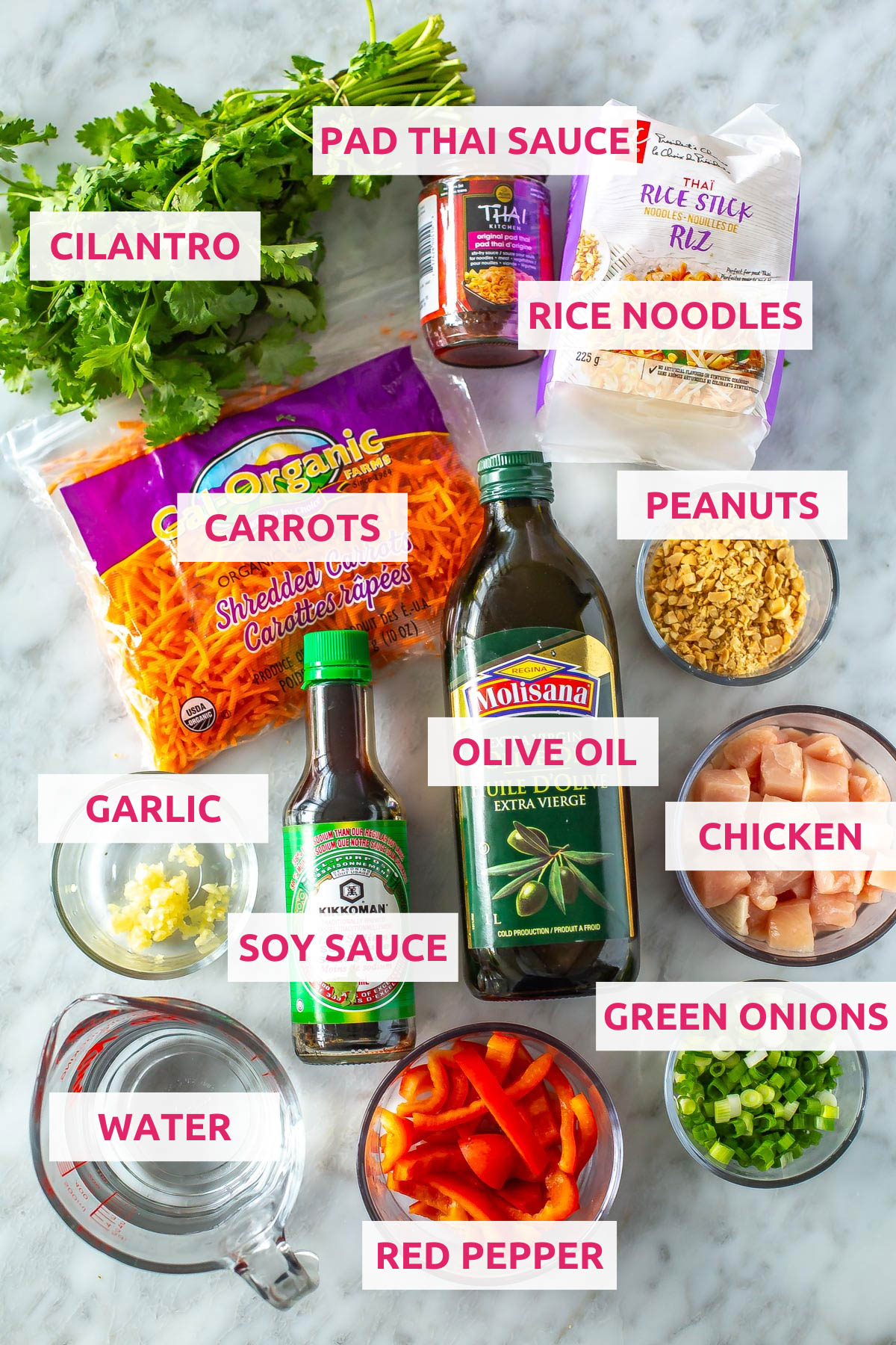 Ingredients for Instant Pot chicken pad thai: Pad Thai sauce, cilantro, rice noodles, carrots, peanuts, garlic, soy sauce, olive oil, chicken, water, red peppers and green onions.